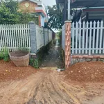 Bán đất 1000m2 gần chợ Tầm Vu, Hồ Chí Minh - Ảnh thu nhỏ 1