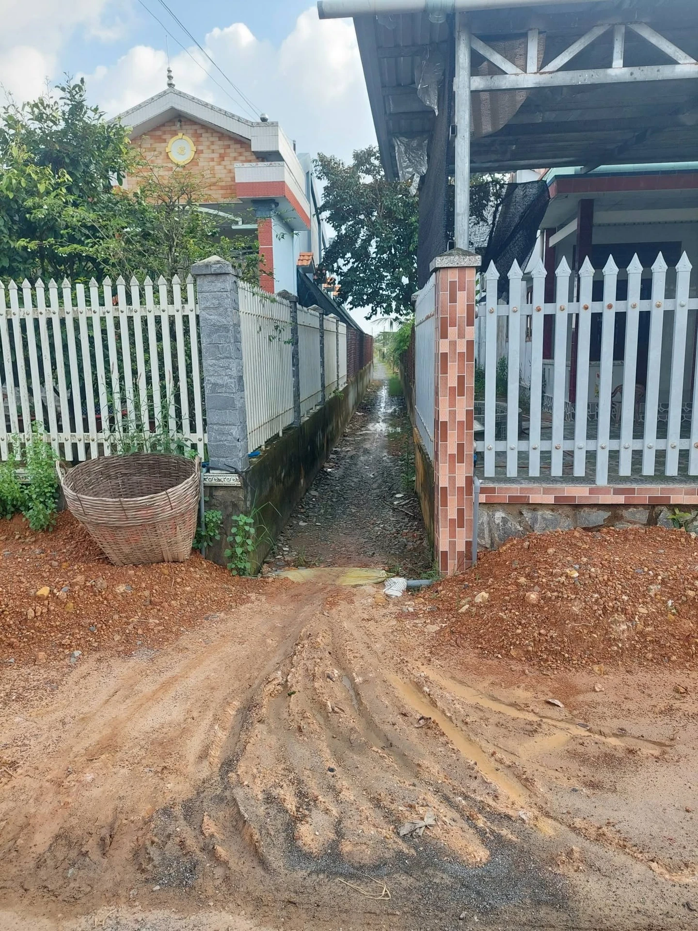 Bán đất 1000m2 gần chợ Tầm Vu, Hồ Chí Minh - Ảnh 1