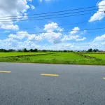 3852,3m2 | Trung tâm TT Bến Cầu | Ngộp ngân hàng cần bán nhanh | Thương lượng mạnh - Ảnh thu nhỏ 6