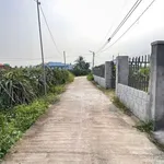 Bán đất cây trồng 190m2 sổ hồng riêng Hàm Liêm Khánh Hòa - Ảnh thu nhỏ 1