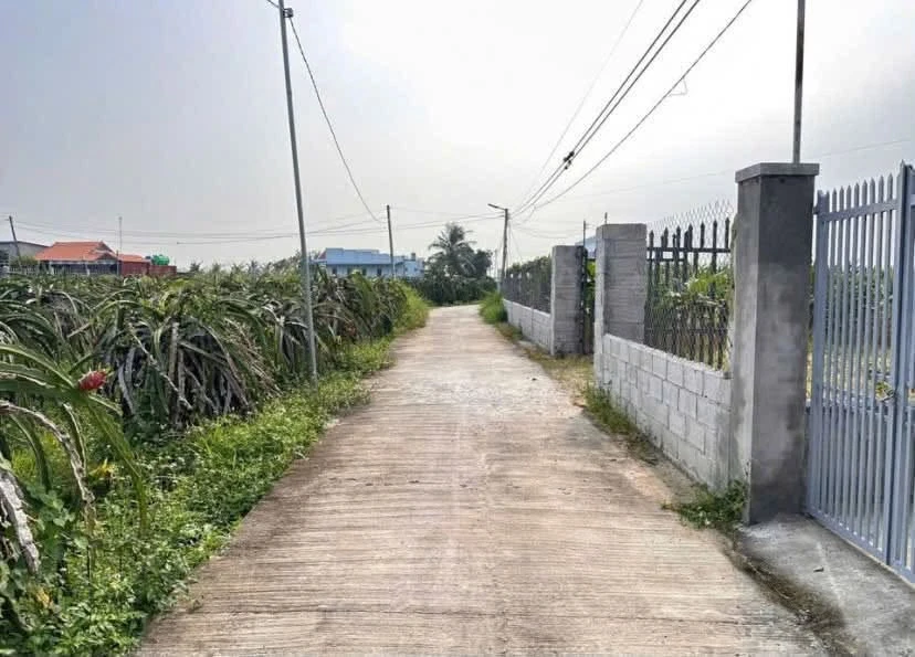 Bán đất cây trồng 190m2 sổ hồng riêng Hàm Liêm Khánh Hòa - Ảnh 1