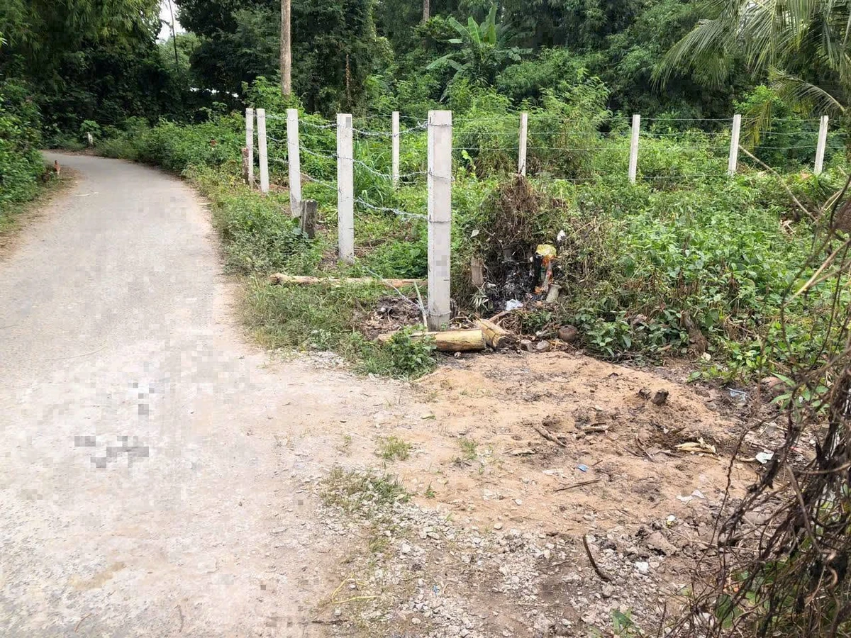Bán đất thổ cư 6x19m đường nhựa gần chợ Sâm Bua, xã Song Lộc, Trà Vinh - Ảnh thu nhỏ 2