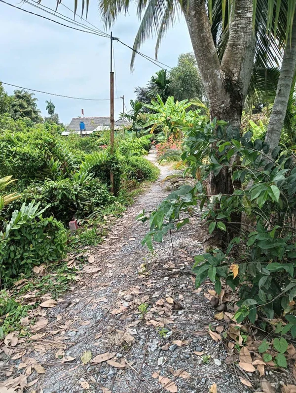 Bán 1337m2 đất vườn có 269m2 thổ cư tại Tân Thành, Thủ Thừa, sát chợ Thủ Thừa