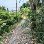 Bán 1337m2 đất vườn có 269m2 thổ cư tại Tân Thành, Thủ Thừa, sát chợ Thủ Thừa - Ảnh thu nhỏ 1