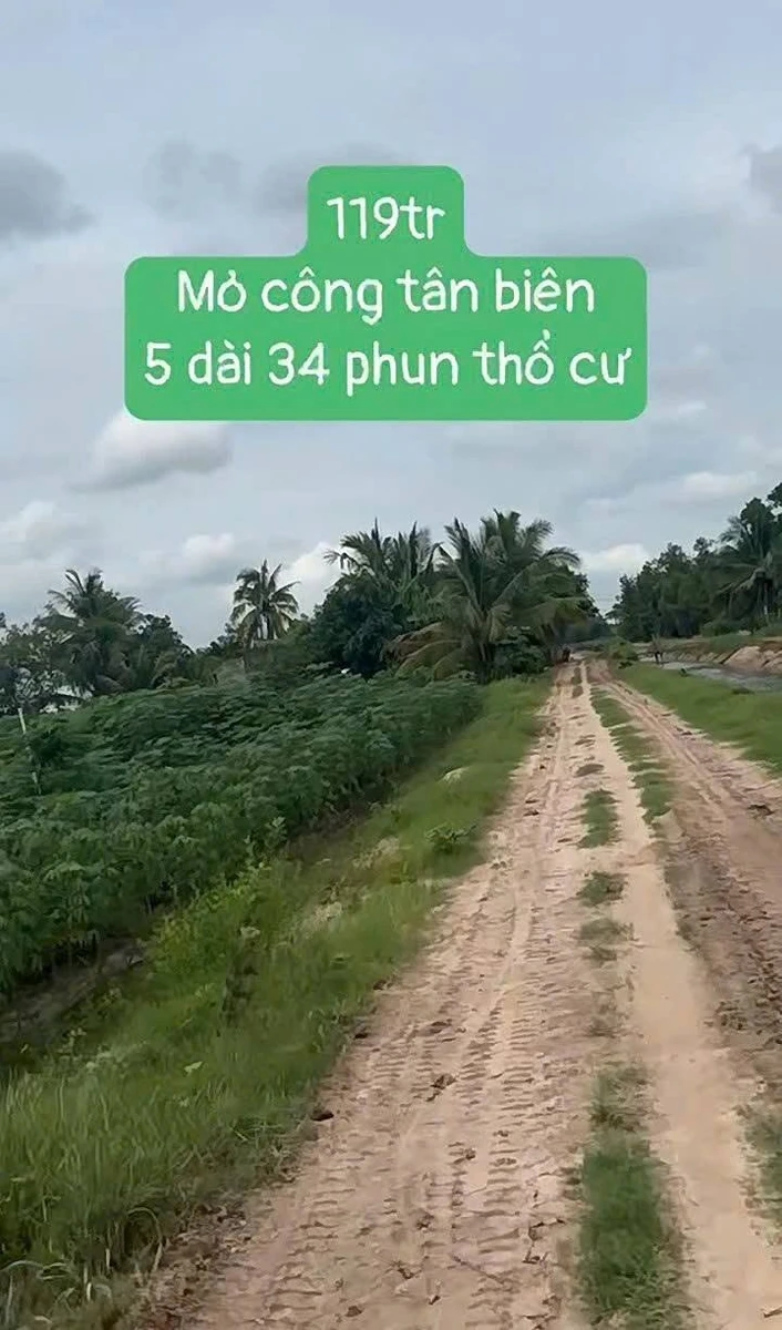 Bán đất 175m² giá 119 triệu tại Mỏ Công, Tây Ninh - Ảnh thu nhỏ 3