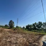 Bán 680m đất cây trồng Thuận Minh, Lâm Đồng - Ảnh thu nhỏ 1