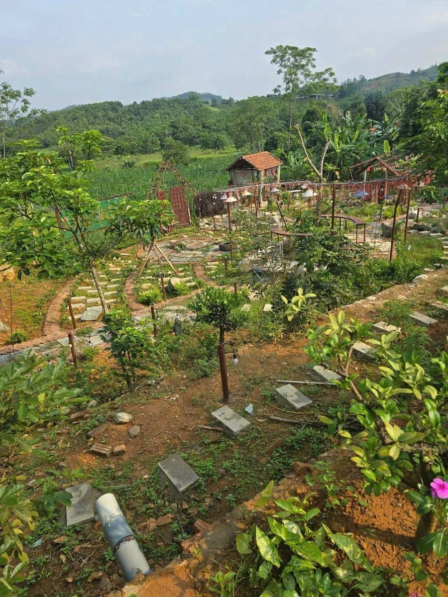 Bán nhà vườn 2600m² Ba Vì Hà Nội, giá hơn 4 tỷ - Ảnh thu nhỏ 3