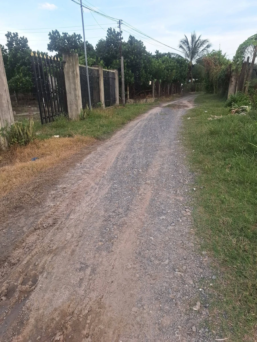 Bán lô đất 5x59m có 50m2 thổ cư giá 199 triệu tại xã Long Chữ, Tây Ninh - Ảnh thu nhỏ 5