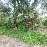 Bán đất nền biệt thự 400m2 có 70m2 thổ cư tại xã Phú Nhuận, TP Bến Tre - Ảnh thu nhỏ 2