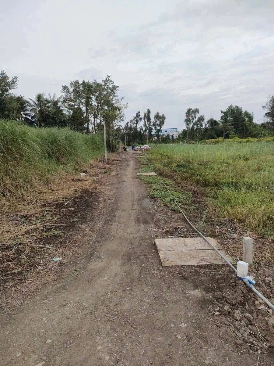 Bán 4 nền đất thổ cư 125m2 Lương Bình Tây Ninh - Ảnh thu nhỏ 3