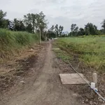 Bán 4 nền đất thổ cư 125m2 Lương Bình Tây Ninh - Ảnh thu nhỏ 3