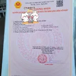 Bán nhà sổ riêng Phường Dĩ An Bình Chánh 60m2 giá 3.35 tỷ - Ảnh thu nhỏ 5