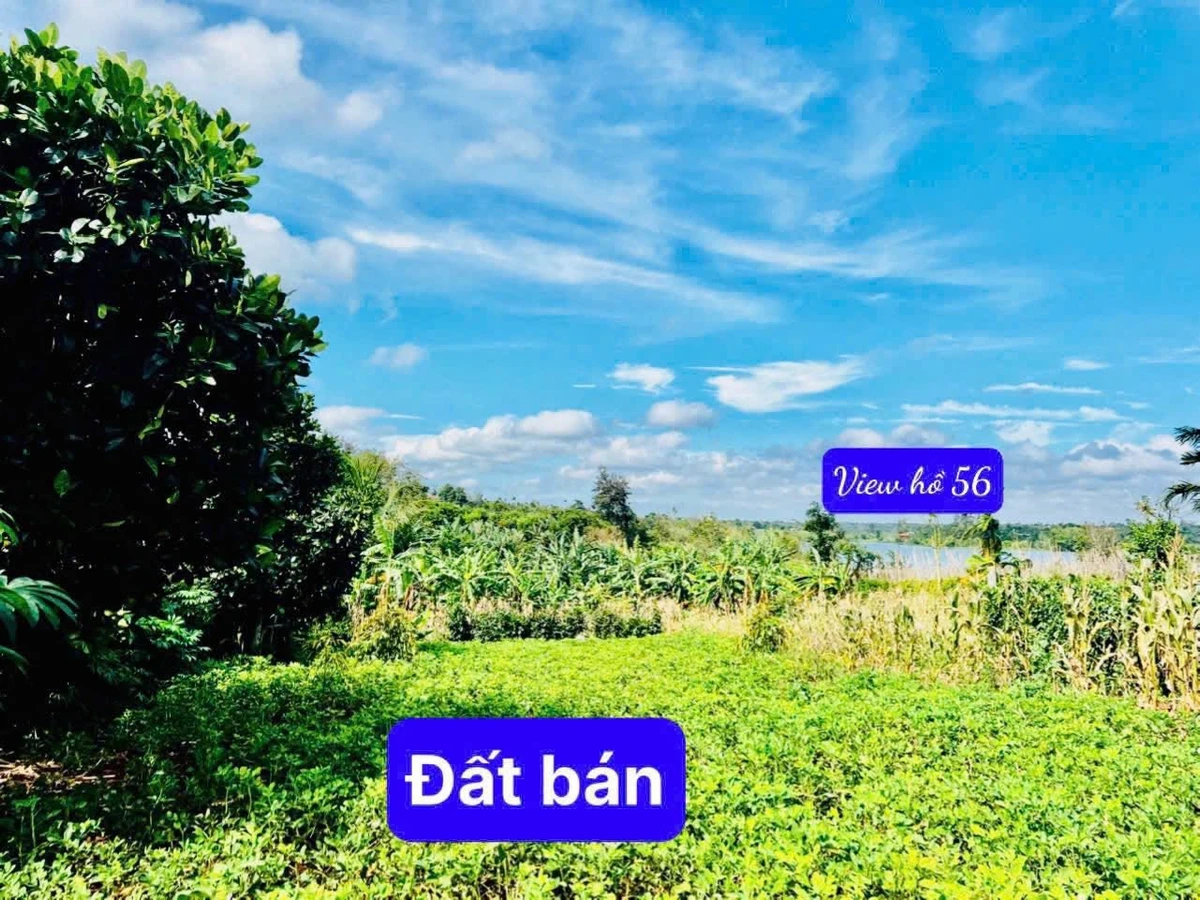 Bán đất thổ cư 60m² view hồ Đắk Lắk, giá 289 triệu - Ảnh thu nhỏ 2