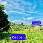 Bán đất thổ cư 60m² view hồ Đắk Lắk, giá 289 triệu - Ảnh thu nhỏ 2