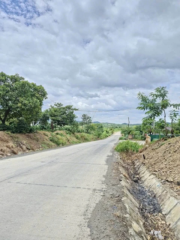 Bán đất mặt tiền KCN Hòa Phú 1.200m² giá 1,25 tỷ