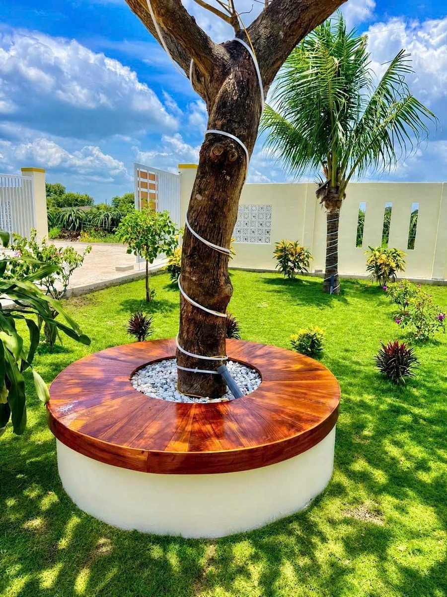 Bán nhà vườn 1.600m² Phan Thiết 1 tỷ 850 triệu - Ảnh thu nhỏ 3