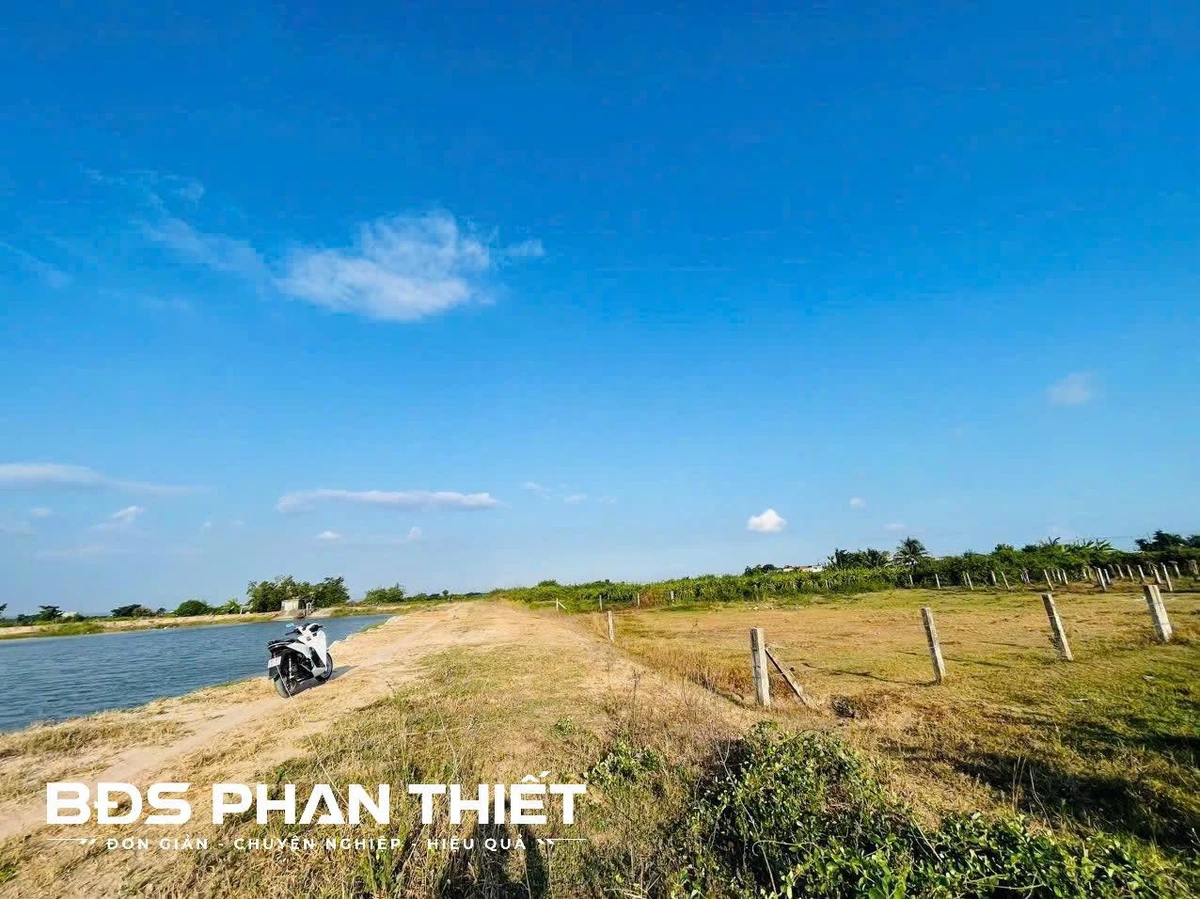 Bán đất vườn view hồ Hàm Liêm 1427 m2 - Ảnh thu nhỏ 3
