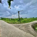 Bán đất nền 120m² Xuân Điền Phan Thiết 1 tỷ 5 - Ảnh thu nhỏ 1