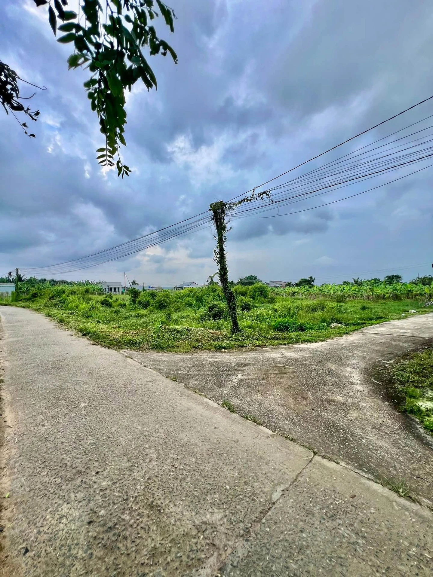 Bán đất nền 120m² Xuân Điền Phan Thiết 1 tỷ 5 - Ảnh 1