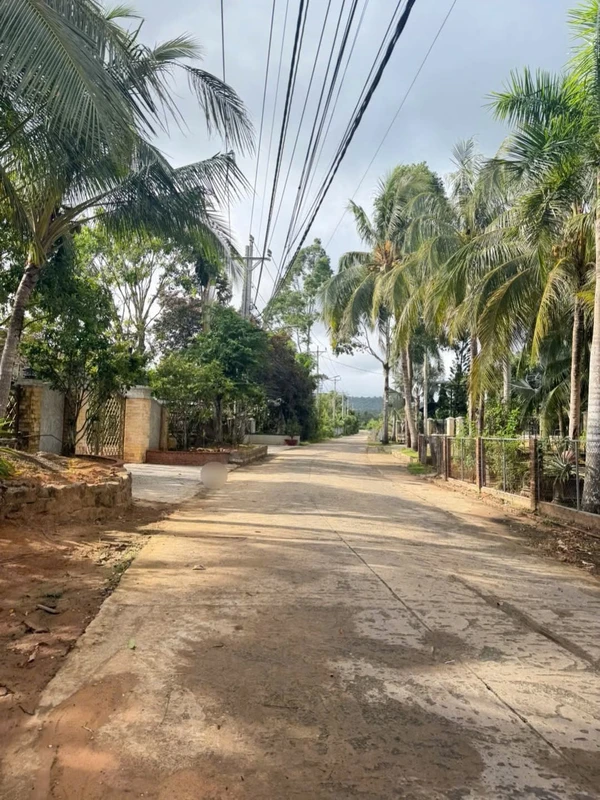 Bán đất xây biệt thự 500m2 mặt tiền 35m Dương Đông