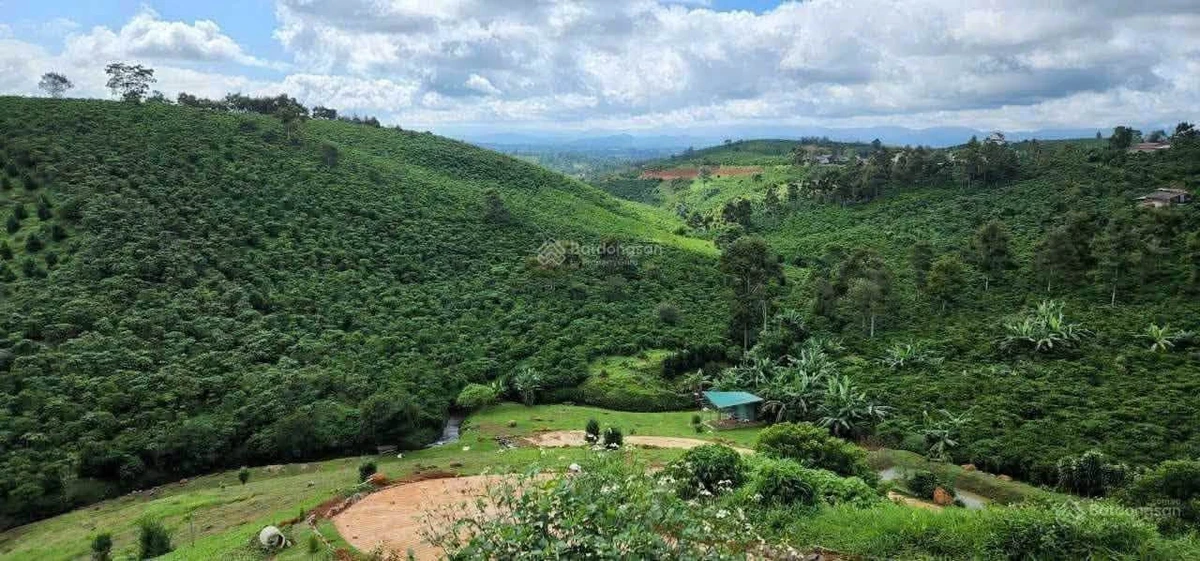 Bán đất 1ha Nguyễn Trãi, Bảo Lộc, giá 6,5 tỷ - Ảnh thu nhỏ 3