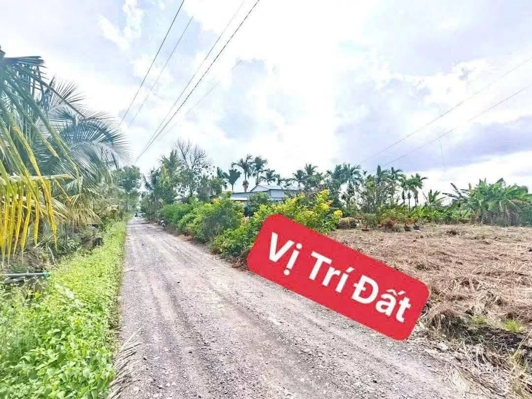 Bán đất nền 500m² gần Vành Đai 4, Bến Lức, Long An - Ảnh thu nhỏ 3