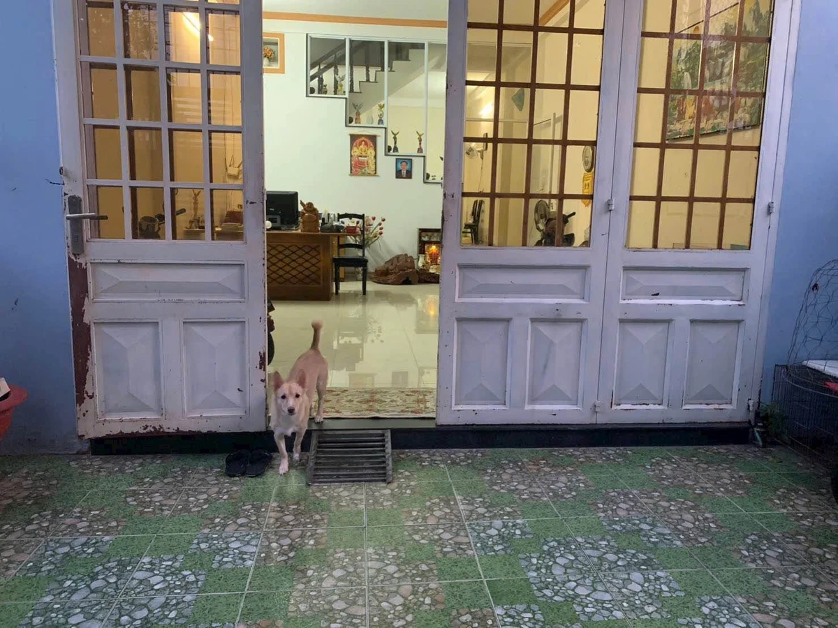 Bán nhà 1T1L 100m2 mặt tiền Trần Quang Diệu Lâm Đồng - Ảnh 1