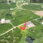 Bán đất 1.670m2 đất vườn có 200m2 thổ cư tại Tân Hà, Lâm Hà, Lâm Đồng, giá chỉ 870tr - Ảnh thu nhỏ 6