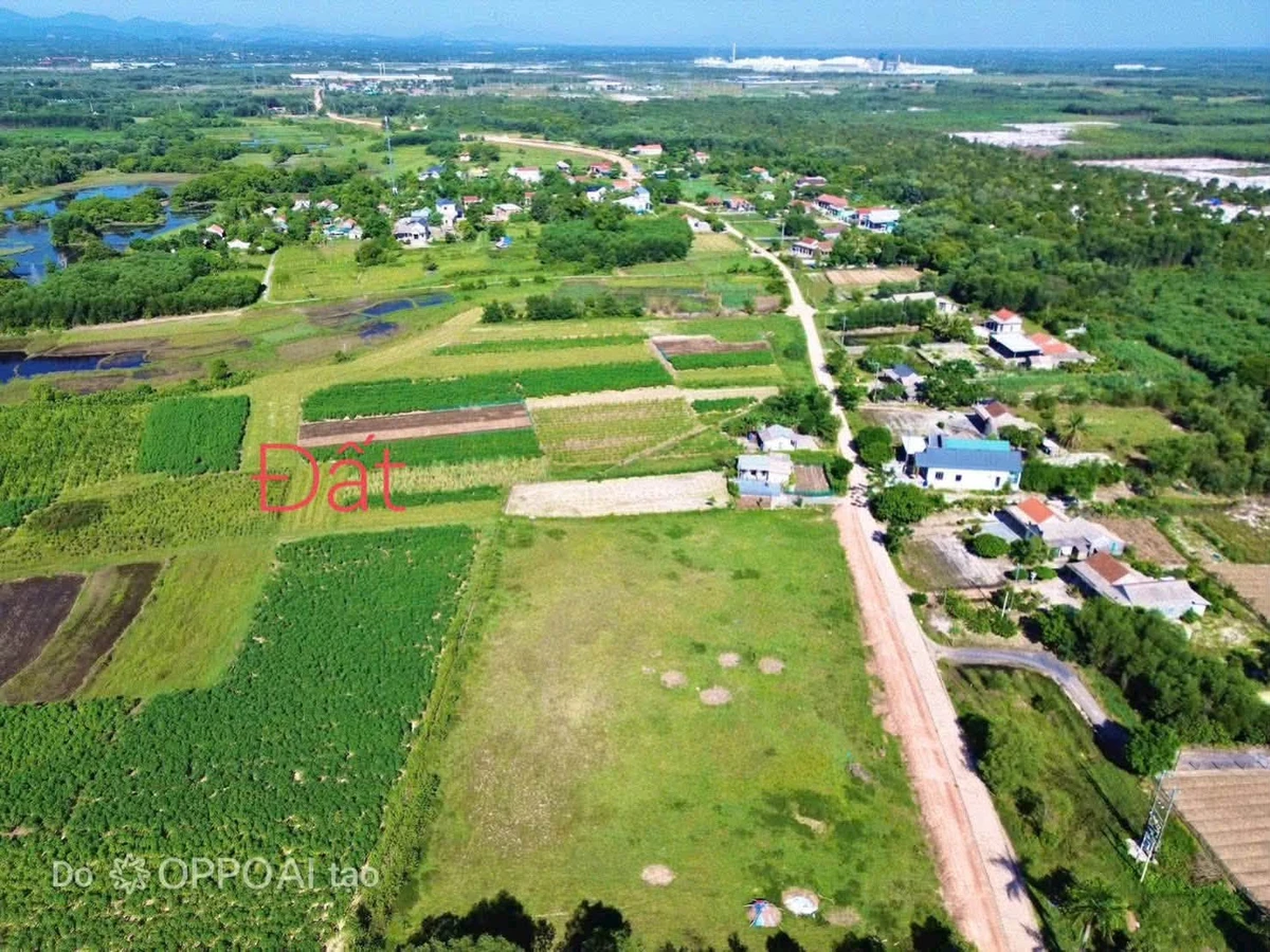 Bán lô đất trồng cây 336m2 cạnh KCN Phong Điền, Huế, giá 59 triệu - Ảnh thu nhỏ 2