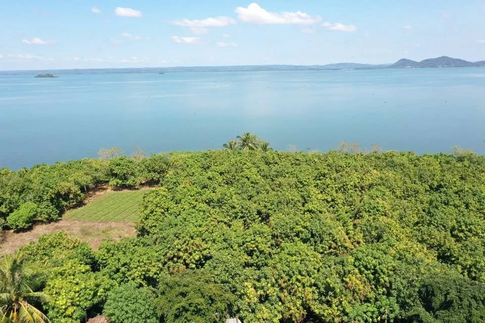 Bán đất vườn 1.125m² view hồ Trị An, Định Quán - Ảnh thu nhỏ 5