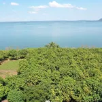 Bán đất vườn 1.125m² view hồ Trị An, Định Quán - Ảnh thu nhỏ 5