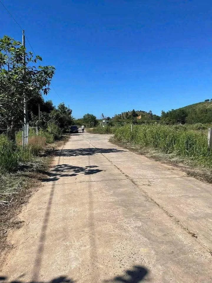 Bán lô đất 150m² tại xã Đạ Huoai, Lâm Đồng, giá 500 triệu - Ảnh thu nhỏ 2