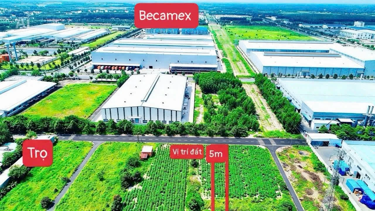 Bán đất nền 100m² Đường 29 Phường Minh Thành, Bình Dương - Ảnh 1