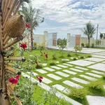 Nhà vườn 1 phòng ngủ 1.600m² Hàm Chính 1 tỷ 790 - Ảnh thu nhỏ 3