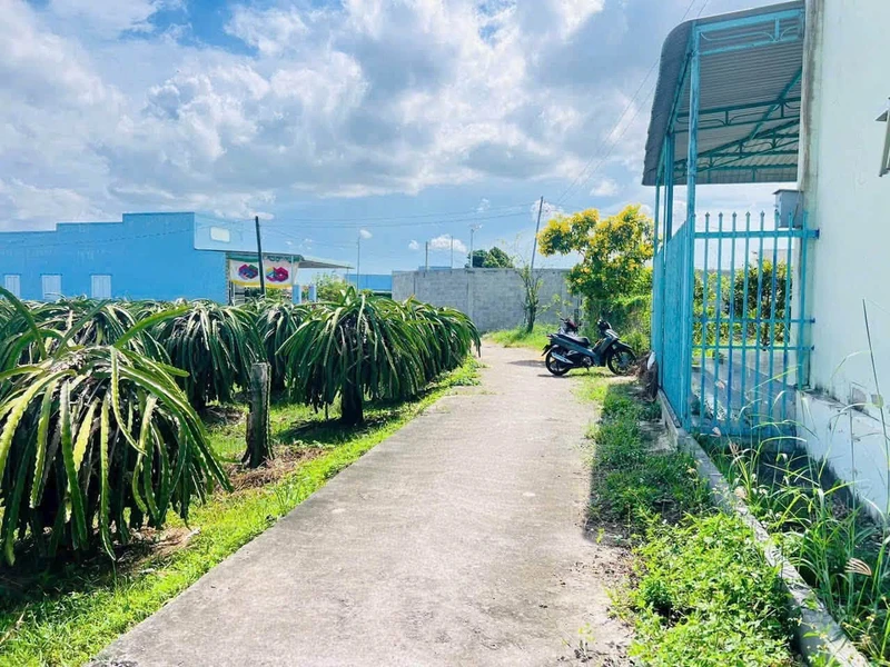 Nhà sân vườn Bình Phú Bến Tre 50m² giá 1,5 tỷ 1000mv