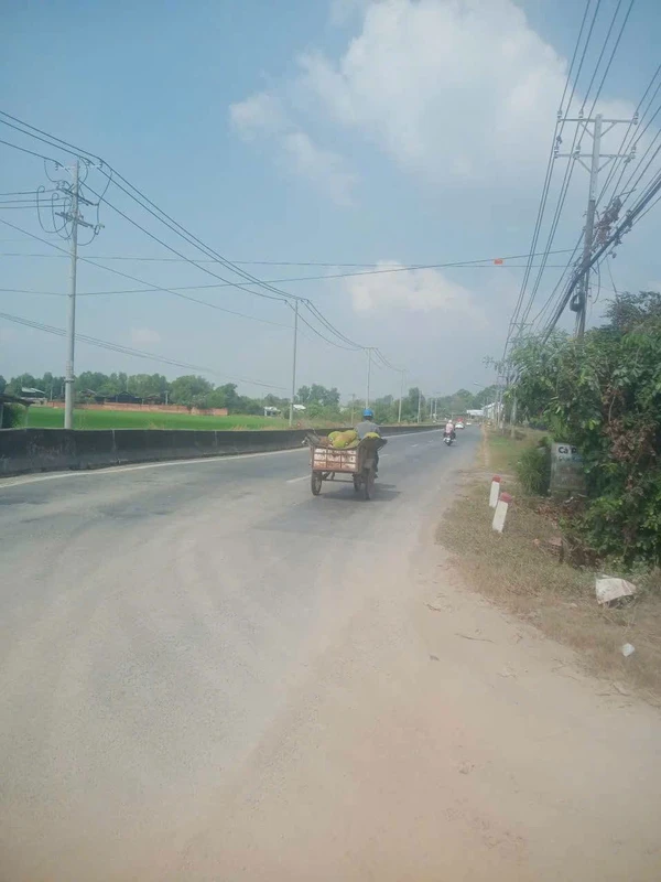 Bán đất 10ha Bến Mương Thạnh Đức Gò Dầu Tây Ninh