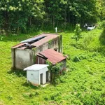 Bán đất 5,1 sào ngay Cầu 14 Sêrêpốk giá 1 tỷ - Ảnh thu nhỏ 2