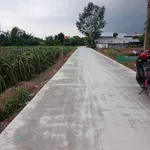 Bán đất nền 1000m2 Thuận Mỹ, Châu Thành, Long An - Ảnh thu nhỏ 1