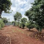 Bán vườn 1,7 sào (1.700m²) Tân An nhà vườn 3 tỷ - Ảnh thu nhỏ 2