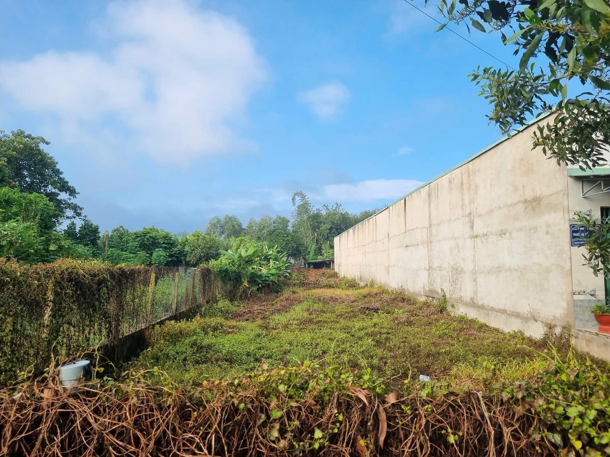Bán đất xây trọ nhà ở Phước Đức A, 610m², 2.3 tỷ - Ảnh thu nhỏ 2