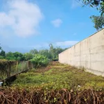 Bán đất xây trọ nhà ở Phước Đức A, 610m², 2.3 tỷ - Ảnh thu nhỏ 2