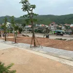 Mua đất ở Hạ Long không mua ở đây thì mua ở đâu nữa - Ảnh thu nhỏ 13