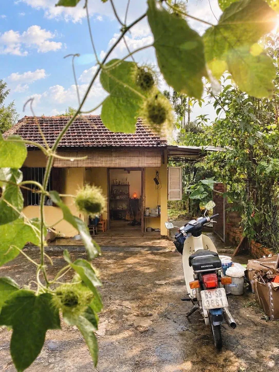 Bán vườn sinh thái Ea Kao 3.866m² giá 8 tỷ - Ảnh thu nhỏ 3