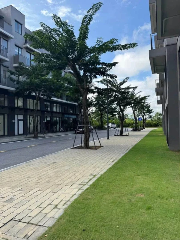Bán đất 1500m² Xã Châu Hưng, Vĩnh Long 300 triệu cottage