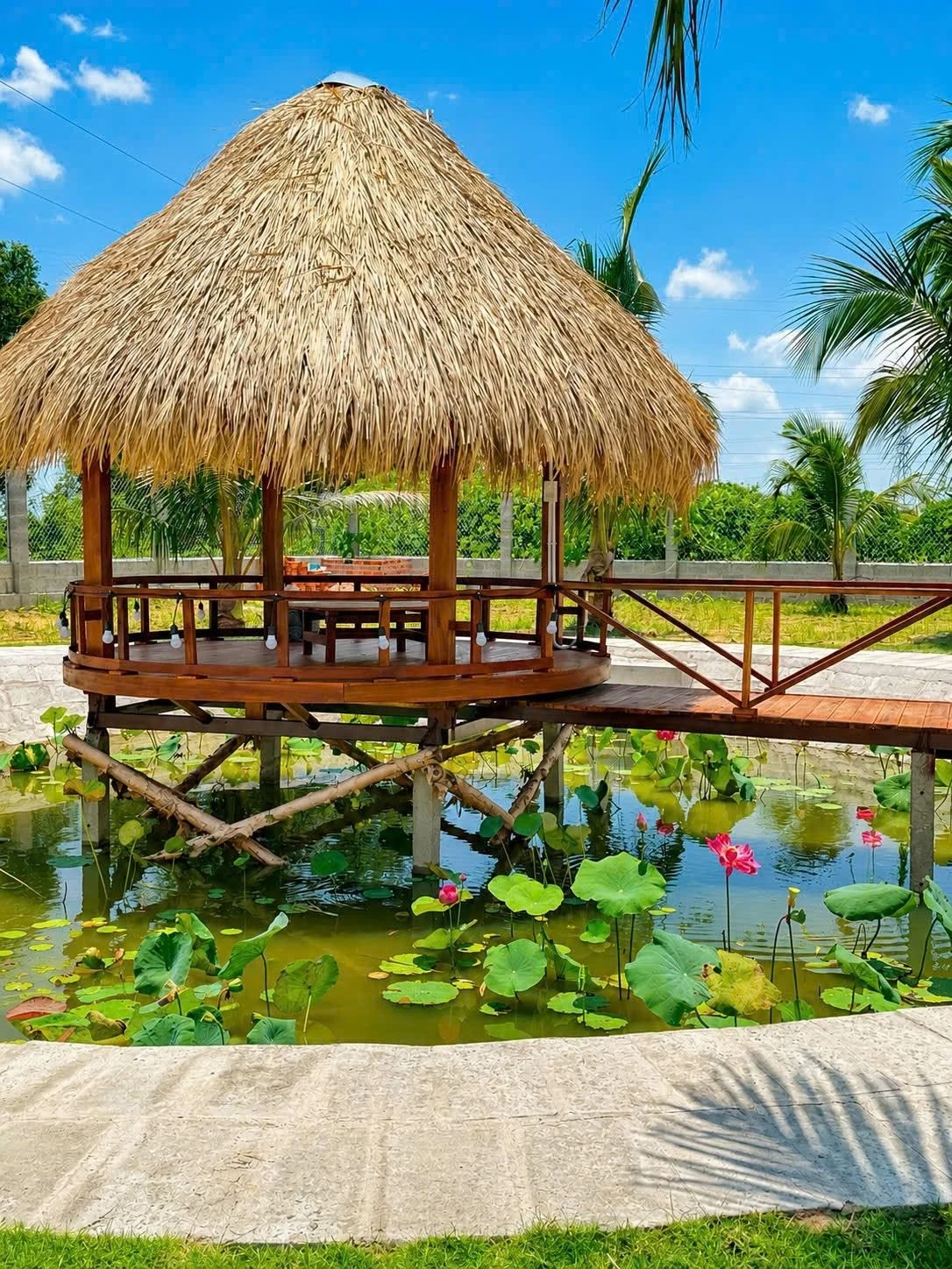 Bán nhà vườn 1.600m² Hàm Chính, Bình Thuận, gần Phan Thiết - Ảnh 1