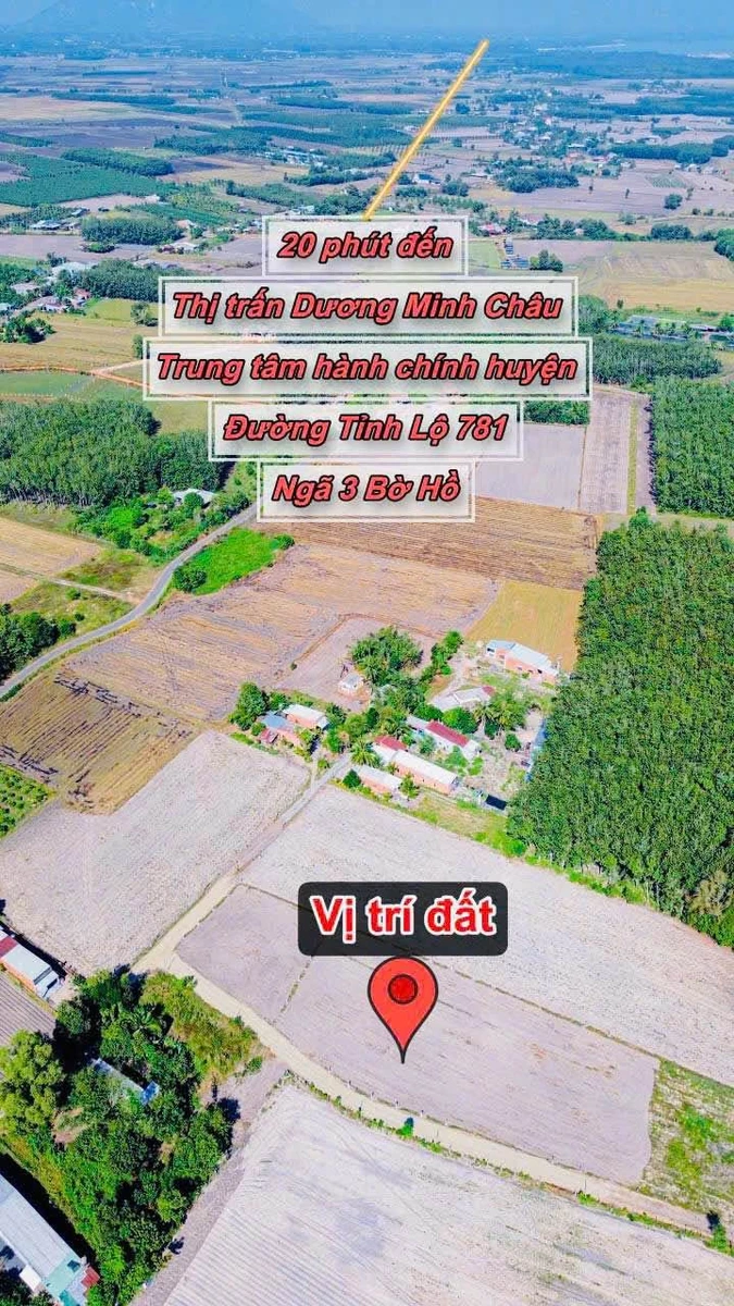 Bán lô đất 165m2 Phước Minh Tây Ninh 219 triệu - Ảnh thu nhỏ 2