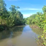 Bán đất 256m² mặt tiền 14,5m view núi 830 triệu Long Khánh - Ảnh thu nhỏ 1