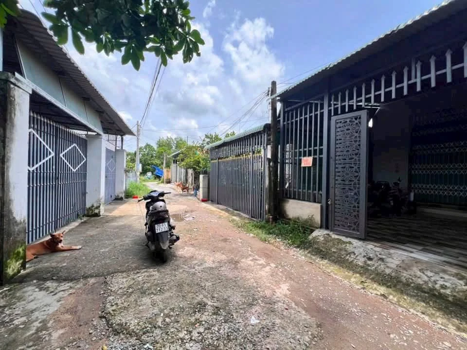 Bán nhà Gò Dầu Tân Phú 272.5m², 2PN, 1.15 tỷ - Ảnh thu nhỏ 3