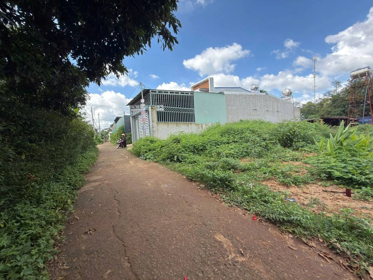 Bán đất hẻm cấp 1 Nguyễn Xuân Nguyên, 50m², Buôn Ma Thuột - Ảnh thu nhỏ 2