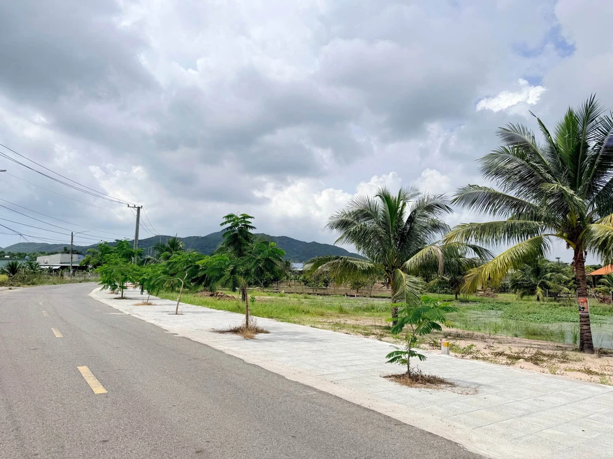 Bán đất Long Mỹ - Phước Hải 295m2, 2 tỷ 100 - Ảnh thu nhỏ 2